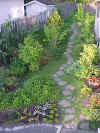 garden3.JPG (109625 bytes)