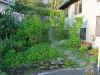 garden5.JPG (109993 bytes)